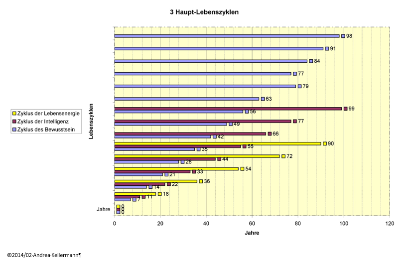 3 Hauptlebenszyklen